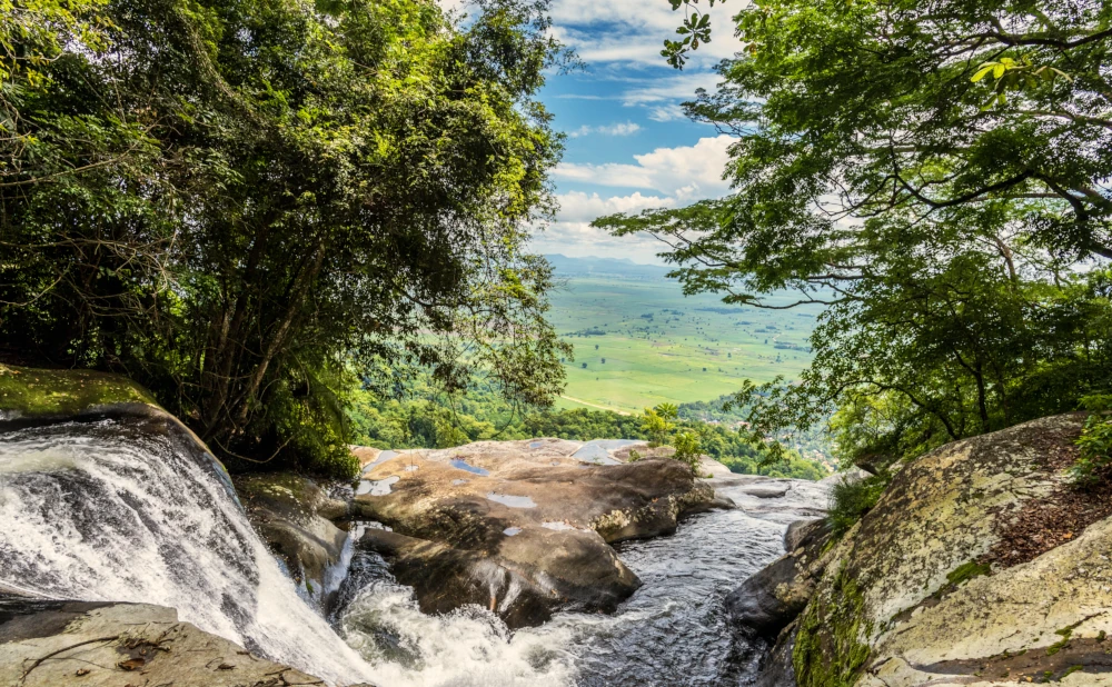 3D 2N Safari to Mikumi & Udzungwa National Park Camping Safari