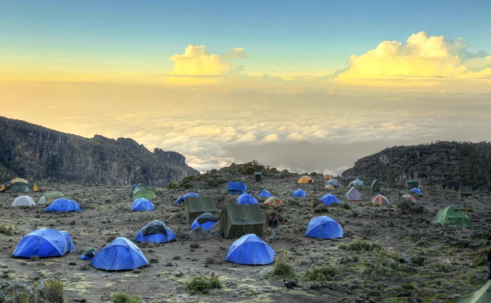 5D 4N Safari to Mount Kilimanjaro Trekking Marangu Route