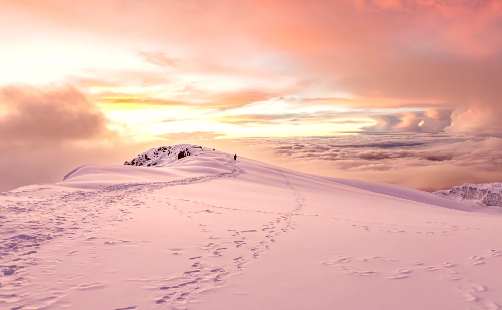 7D 6N Climb Kilimanjaro by Machame Route Adventure