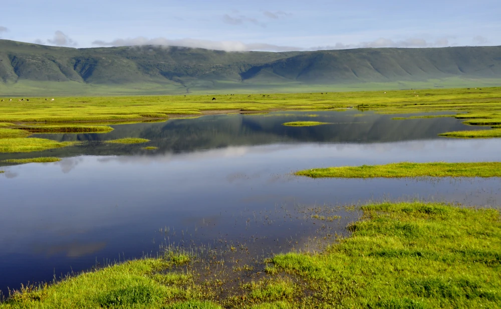 Key Facts About Ngorongoro Crater