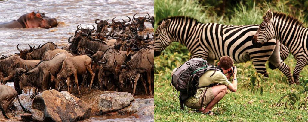 Why Tanzania Is the Best Destination for African Safaris